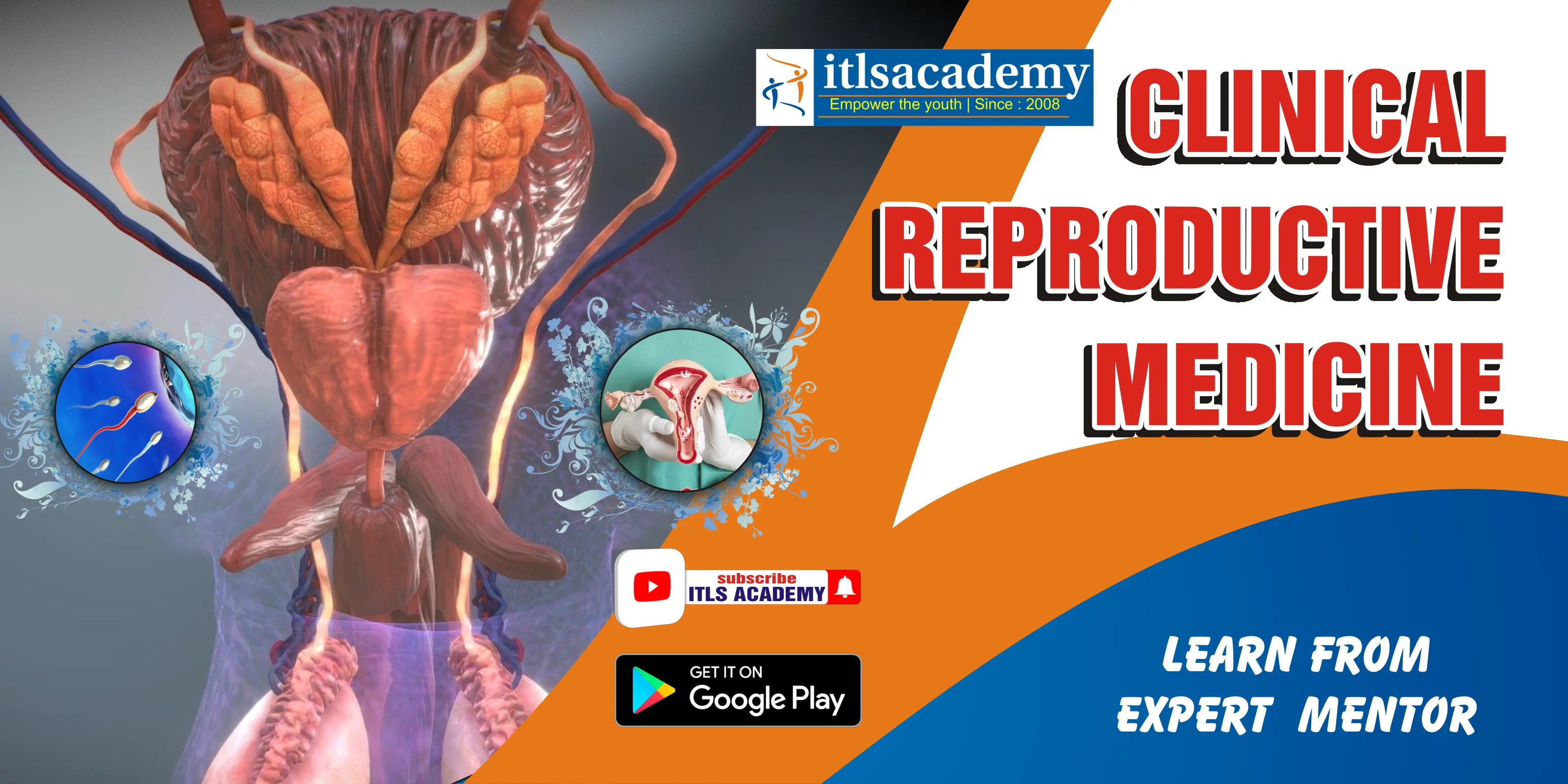 Clinical Reproductive Medicine