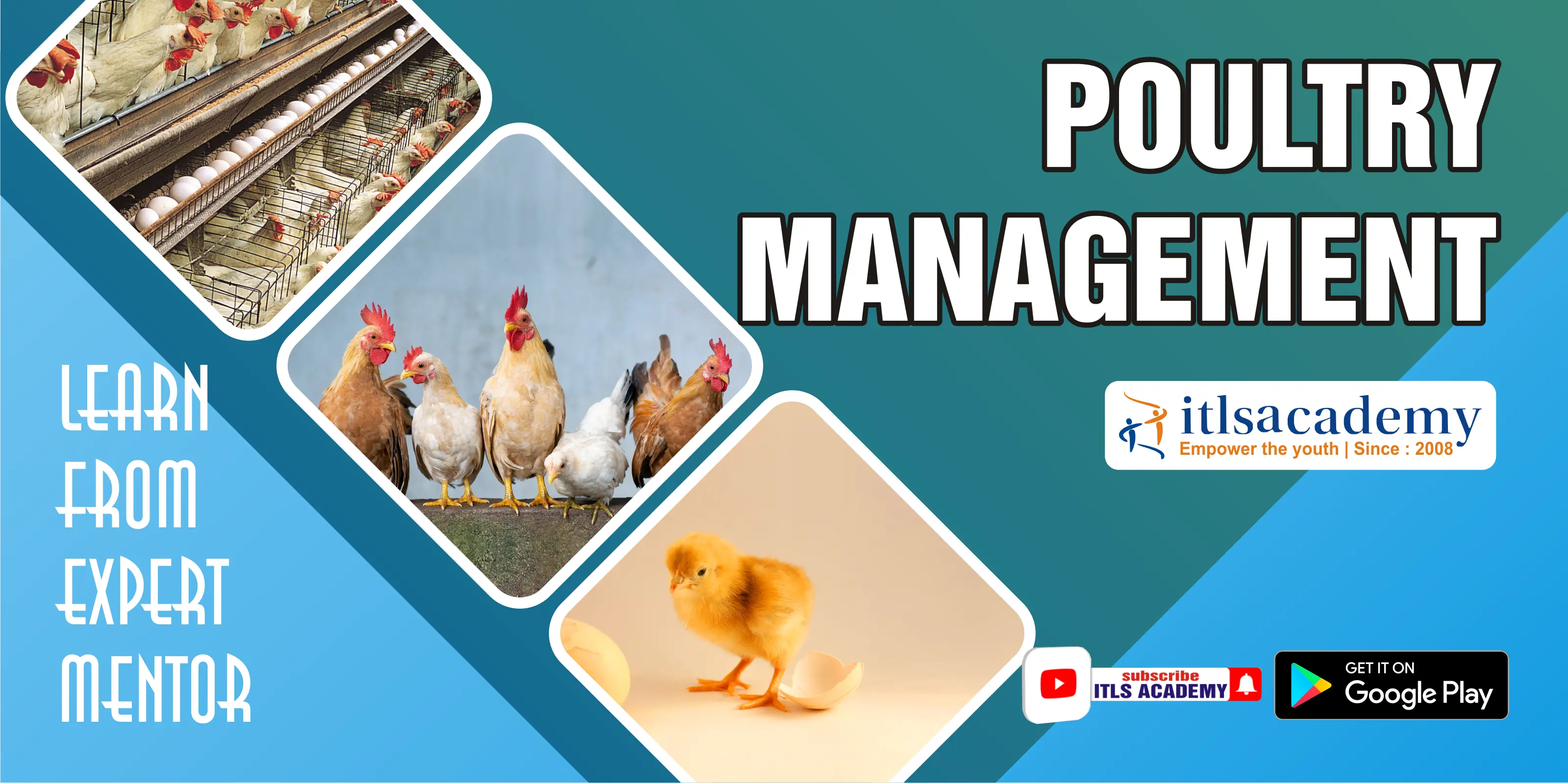 Poultry Management