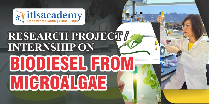 Biodiesel From Microalgae